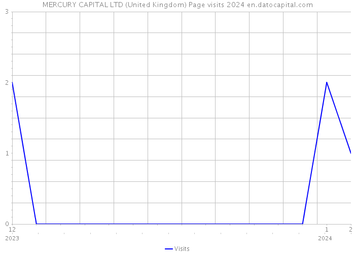 MERCURY CAPITAL LTD (United Kingdom) Page visits 2024 