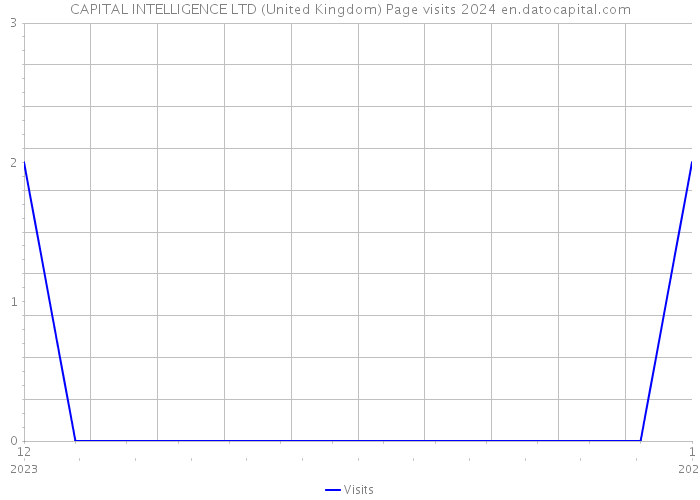 CAPITAL INTELLIGENCE LTD (United Kingdom) Page visits 2024 