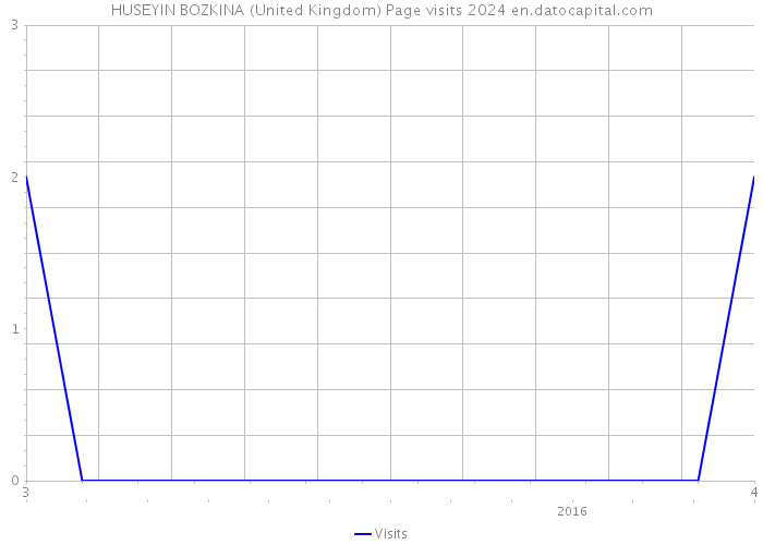 HUSEYIN BOZKINA (United Kingdom) Page visits 2024 