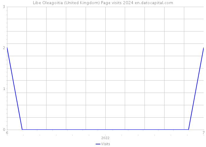 Libe Oleagoitia (United Kingdom) Page visits 2024 