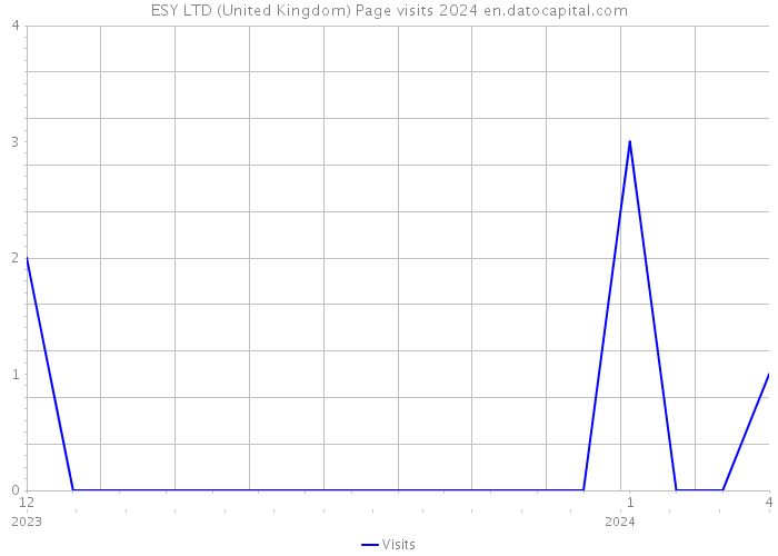 ESY LTD (United Kingdom) Page visits 2024 