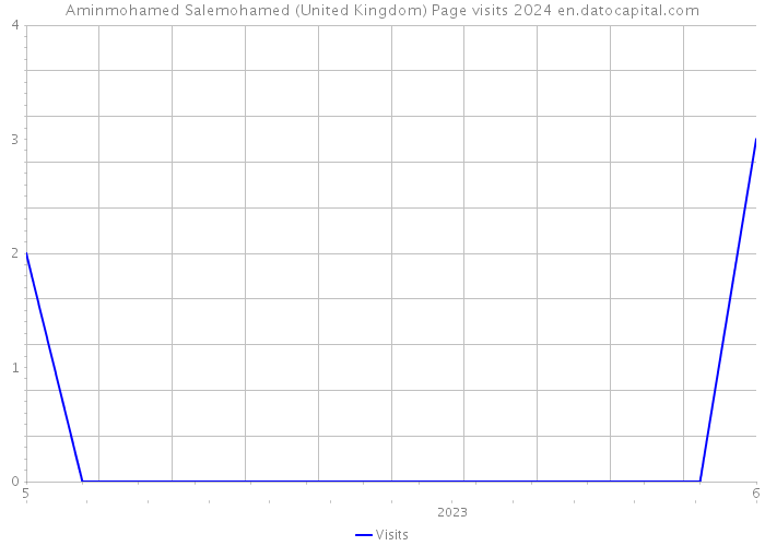 Aminmohamed Salemohamed (United Kingdom) Page visits 2024 