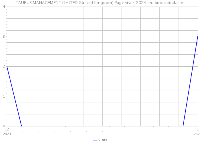 TAURUS MANAGEMENT LIMITED (United Kingdom) Page visits 2024 