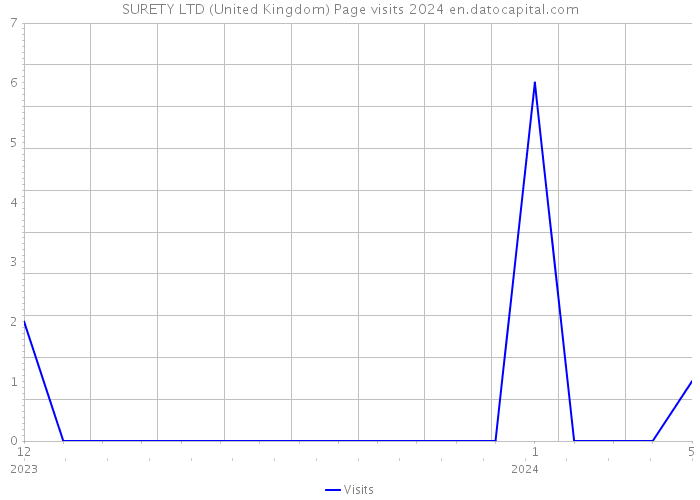 SURETY LTD (United Kingdom) Page visits 2024 