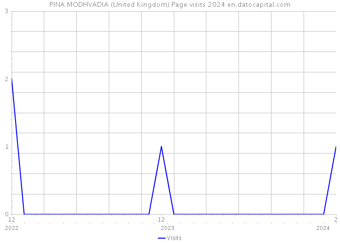 PINA MODHVADIA (United Kingdom) Page visits 2024 