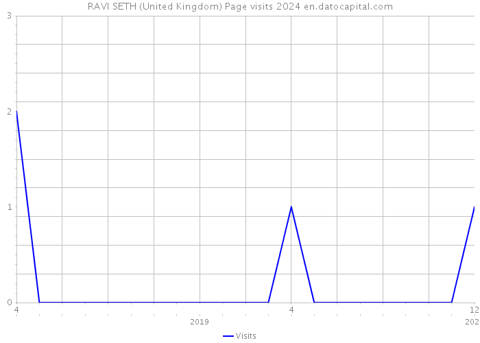RAVI SETH (United Kingdom) Page visits 2024 