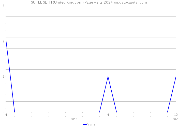SUHEL SETH (United Kingdom) Page visits 2024 