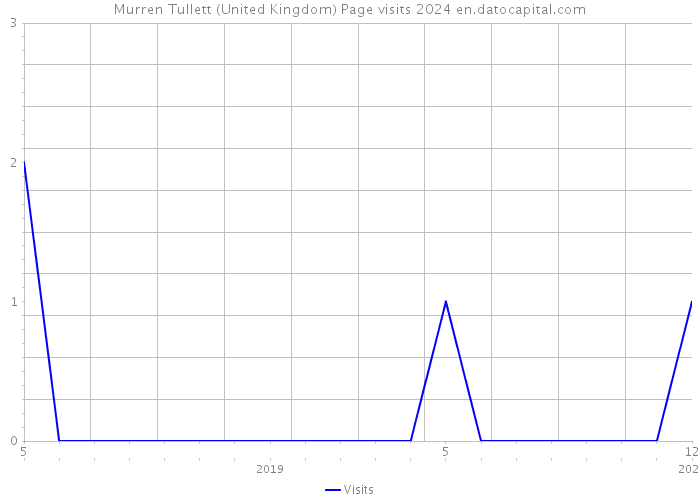 Murren Tullett (United Kingdom) Page visits 2024 