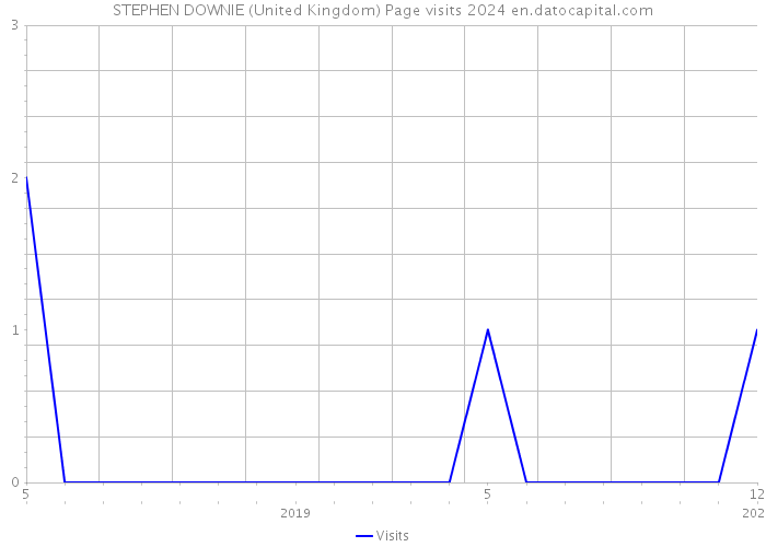 STEPHEN DOWNIE (United Kingdom) Page visits 2024 