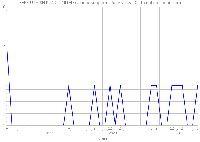 BERMUDA SHIPPING LIMITED (United Kingdom) Page visits 2024 