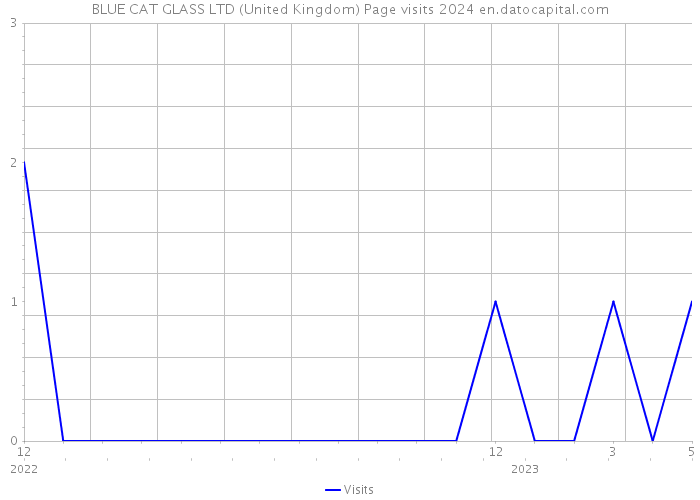BLUE CAT GLASS LTD (United Kingdom) Page visits 2024 