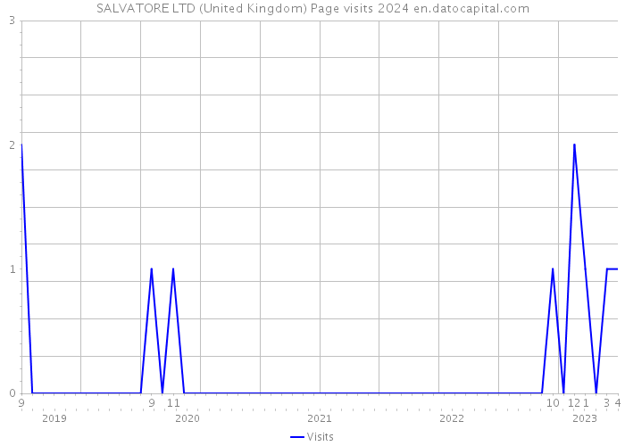 SALVATORE LTD (United Kingdom) Page visits 2024 