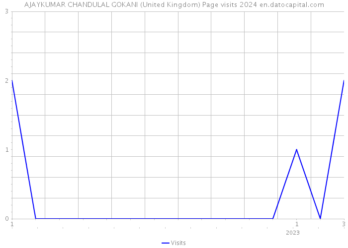 AJAYKUMAR CHANDULAL GOKANI (United Kingdom) Page visits 2024 