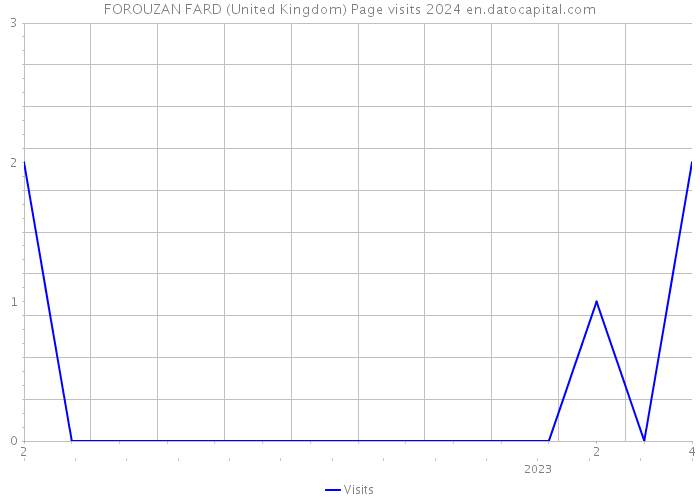 FOROUZAN FARD (United Kingdom) Page visits 2024 