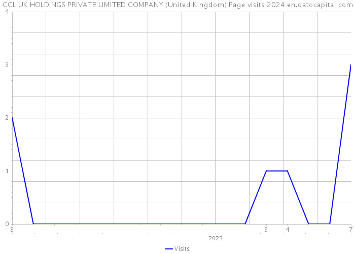 CCL UK HOLDINGS PRIVATE LIMITED COMPANY (United Kingdom) Page visits 2024 