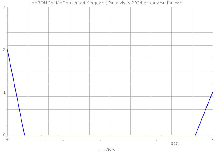 AARON PALMADA (United Kingdom) Page visits 2024 