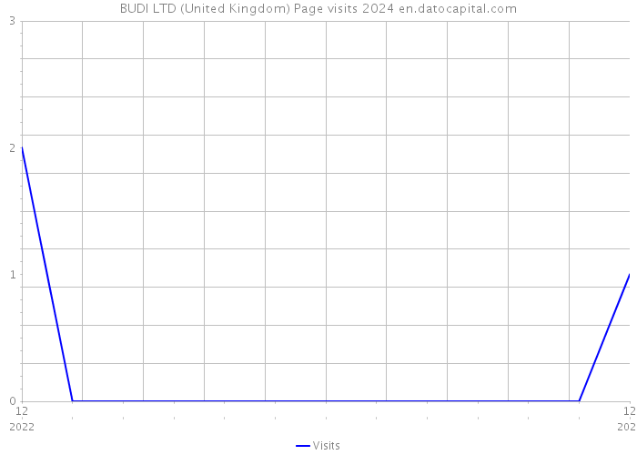 BUDI LTD (United Kingdom) Page visits 2024 