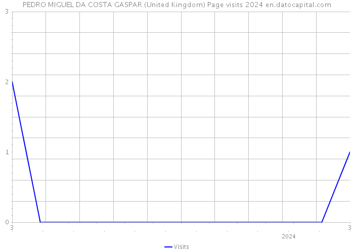 PEDRO MIGUEL DA COSTA GASPAR (United Kingdom) Page visits 2024 