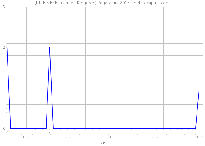 JULIE MEYER (United Kingdom) Page visits 2024 