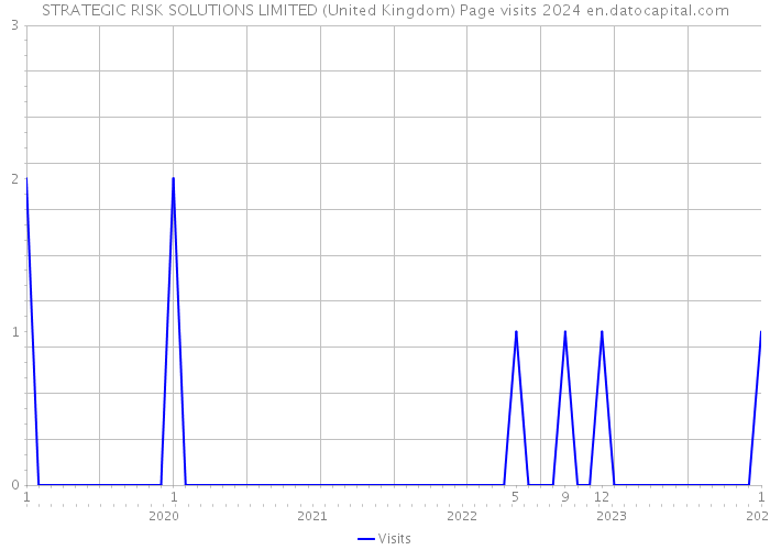 STRATEGIC RISK SOLUTIONS LIMITED (United Kingdom) Page visits 2024 