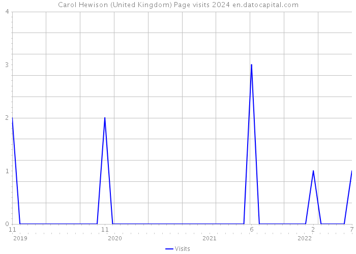 Carol Hewison (United Kingdom) Page visits 2024 