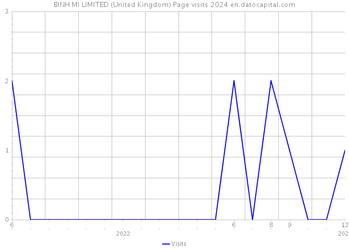BINH MI LIMITED (United Kingdom) Page visits 2024 