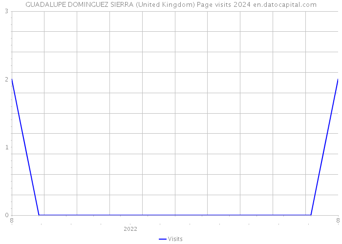 GUADALUPE DOMINGUEZ SIERRA (United Kingdom) Page visits 2024 