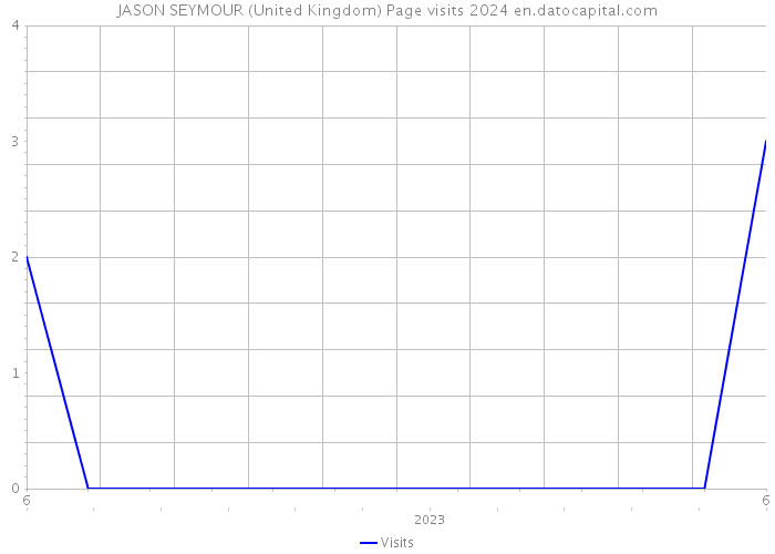 JASON SEYMOUR (United Kingdom) Page visits 2024 
