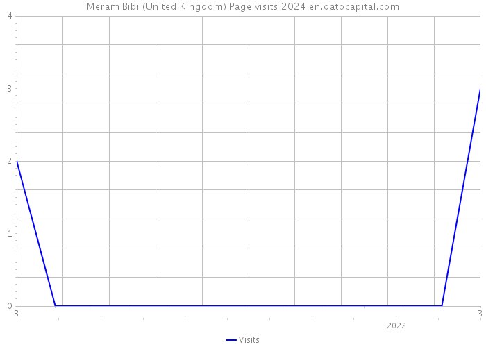 Meram Bibi (United Kingdom) Page visits 2024 