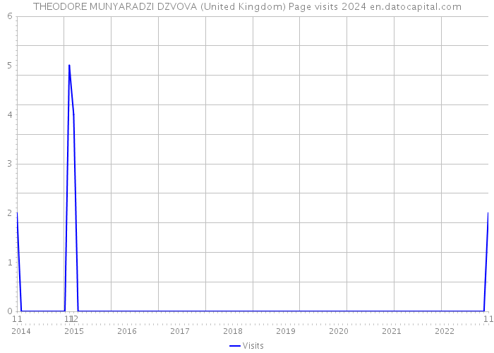 THEODORE MUNYARADZI DZVOVA (United Kingdom) Page visits 2024 