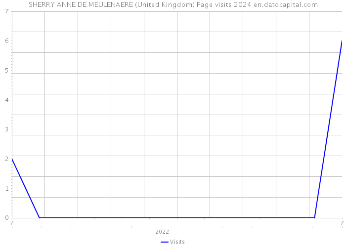 SHERRY ANNE DE MEULENAERE (United Kingdom) Page visits 2024 