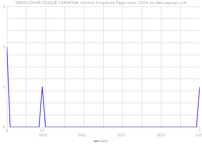 SIMON DAVID DUQUE CARMONA (United Kingdom) Page visits 2024 