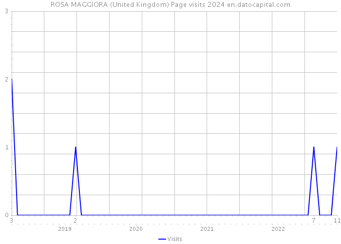 ROSA MAGGIORA (United Kingdom) Page visits 2024 