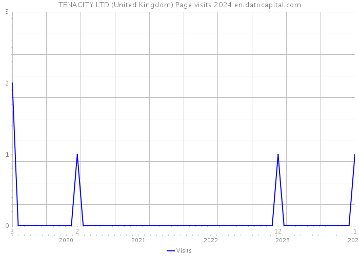 TENACITY LTD (United Kingdom) Page visits 2024 