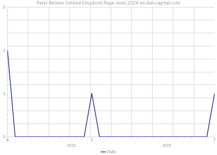 Peter Belsten (United Kingdom) Page visits 2024 