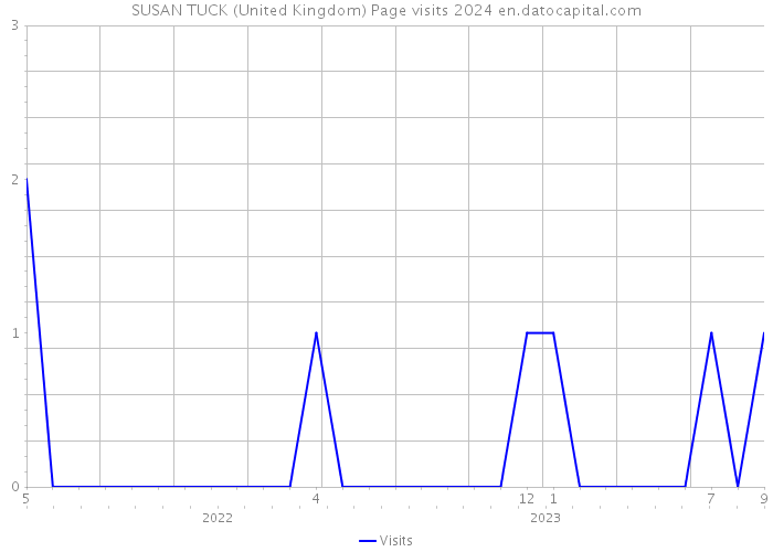 SUSAN TUCK (United Kingdom) Page visits 2024 