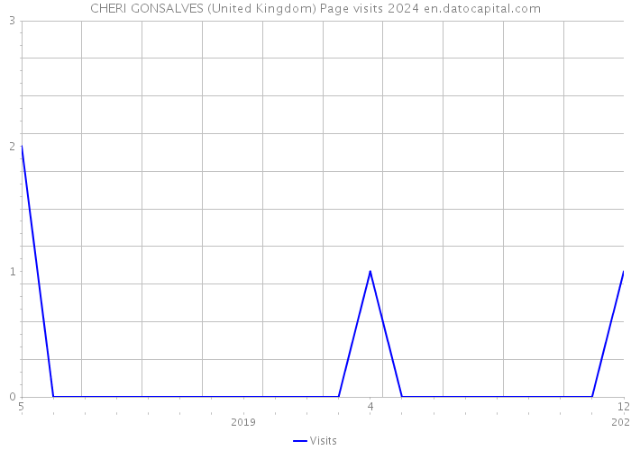 CHERI GONSALVES (United Kingdom) Page visits 2024 
