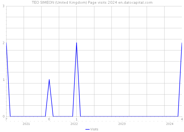 TEO SIMEON (United Kingdom) Page visits 2024 
