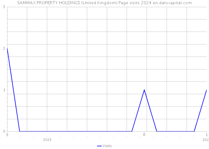 SAMMAX PROPERTY HOLDINGS (United Kingdom) Page visits 2024 