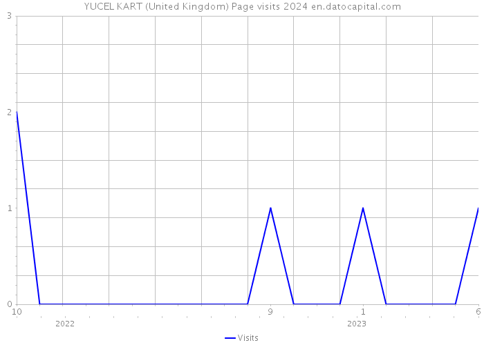 YUCEL KART (United Kingdom) Page visits 2024 