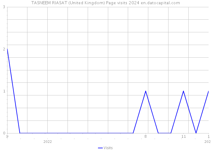 TASNEEM RIASAT (United Kingdom) Page visits 2024 