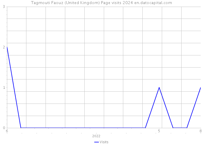 Tagmouti Faouz (United Kingdom) Page visits 2024 