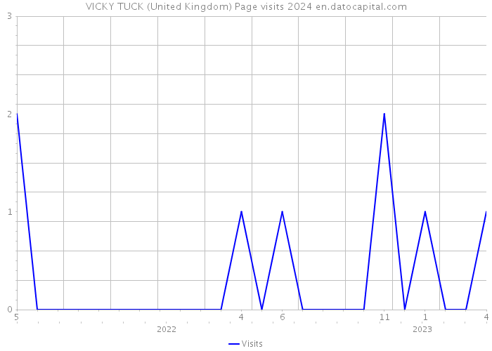 VICKY TUCK (United Kingdom) Page visits 2024 