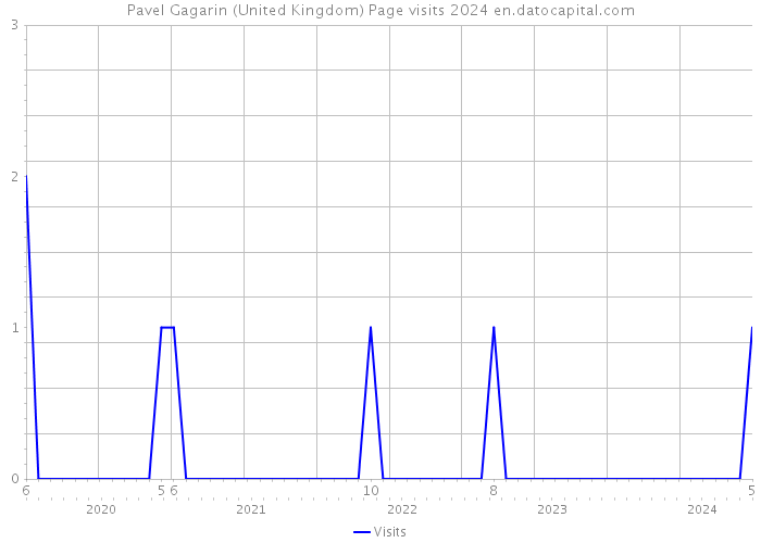 Pavel Gagarin (United Kingdom) Page visits 2024 