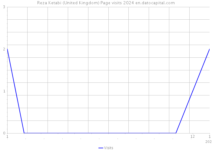 Reza Ketabi (United Kingdom) Page visits 2024 