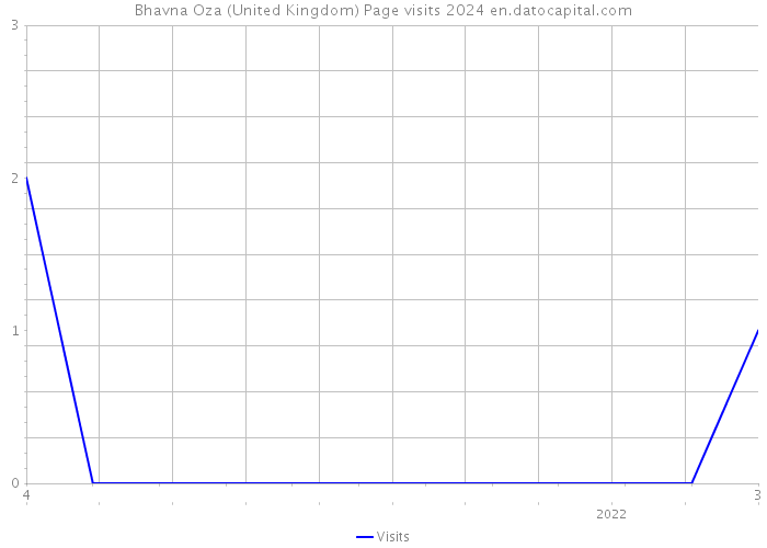 Bhavna Oza (United Kingdom) Page visits 2024 