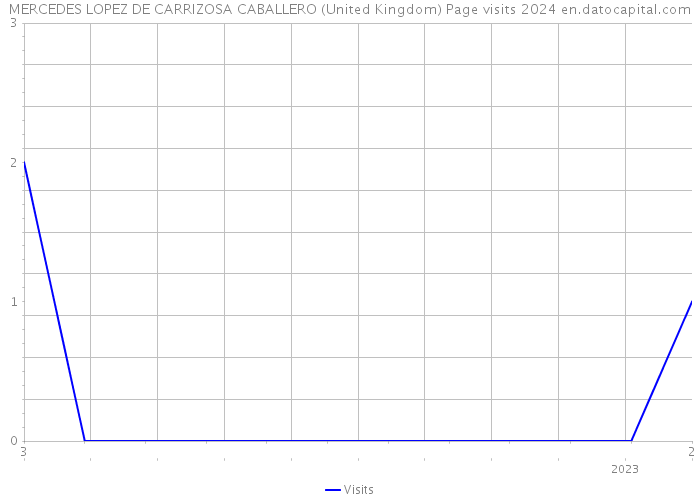 MERCEDES LOPEZ DE CARRIZOSA CABALLERO (United Kingdom) Page visits 2024 