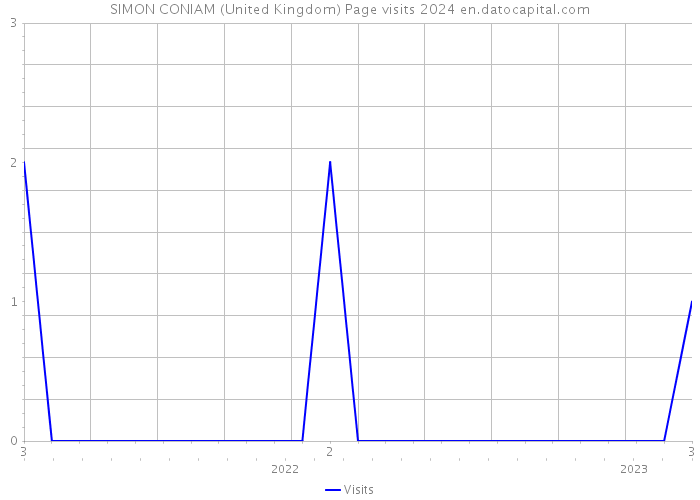 SIMON CONIAM (United Kingdom) Page visits 2024 