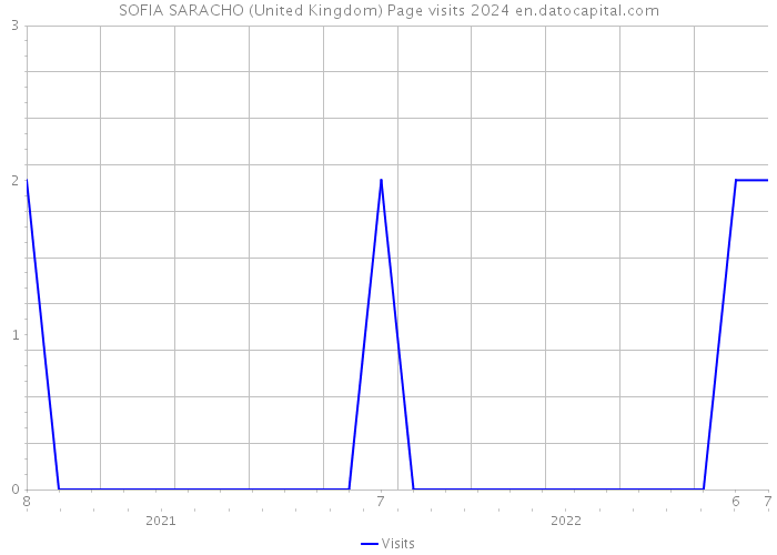 SOFIA SARACHO (United Kingdom) Page visits 2024 