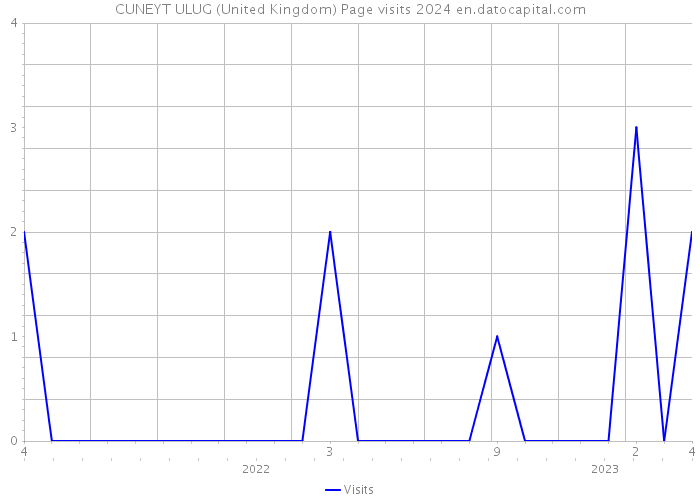 CUNEYT ULUG (United Kingdom) Page visits 2024 